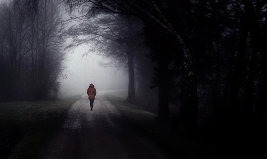 Wolfgang Heinrigs: Spaziergang im Nebel